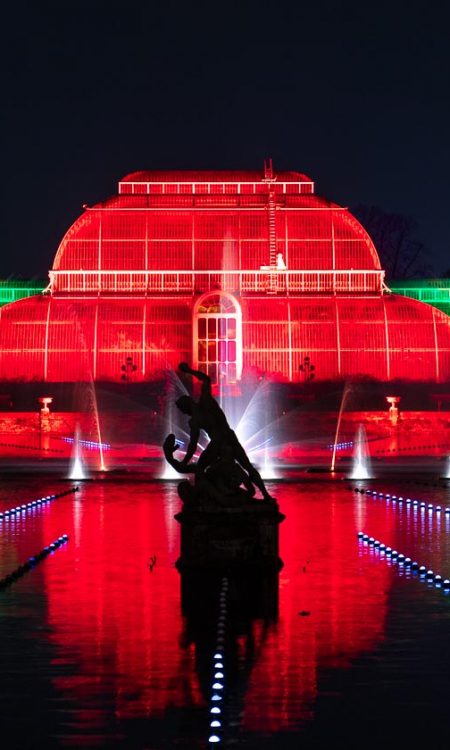 Christmas at Kew Gardens 2023