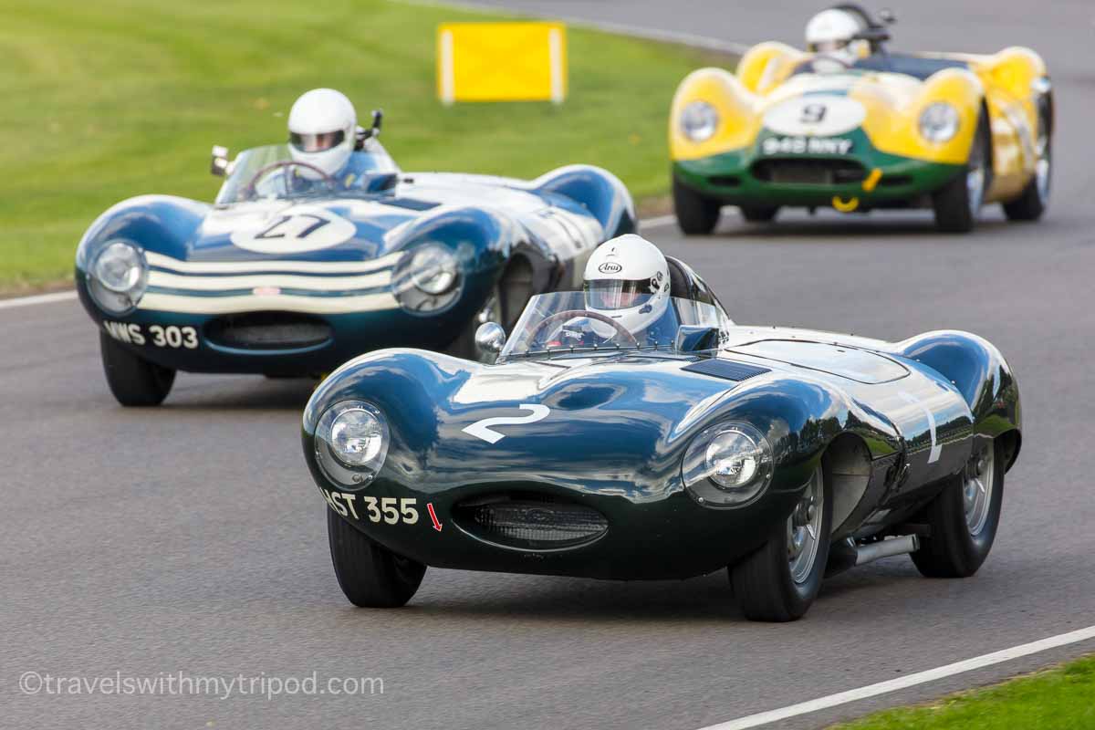 Jaguar D-Types race in the Sussex Trophy at Goodwood Revival