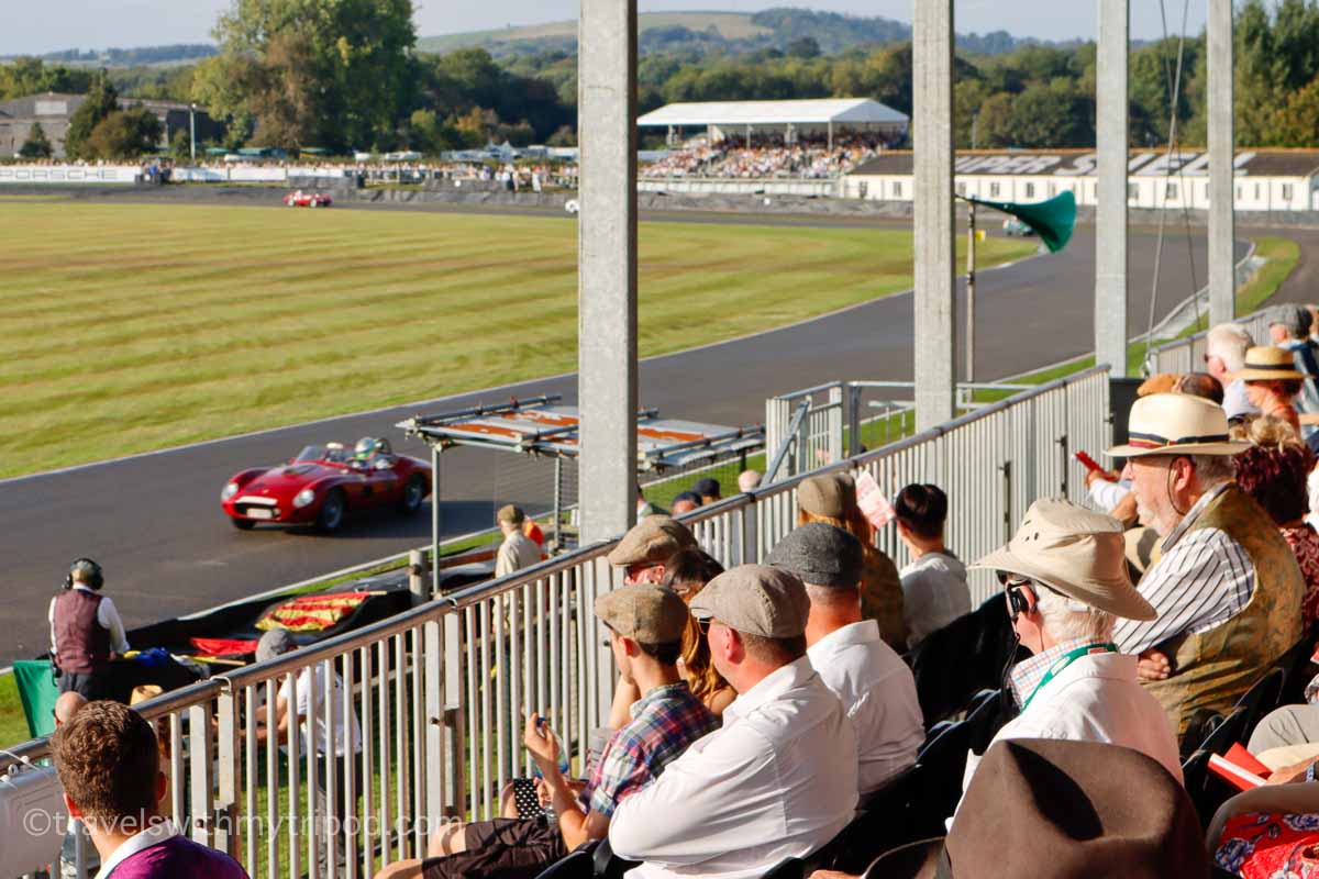 View from the Woodcote grandstand at Goodwood Revival