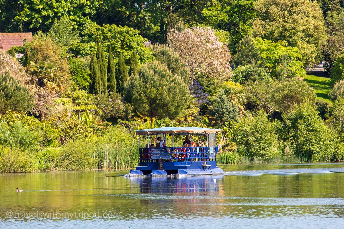 The Black Swan Ferry at Leeds Castle