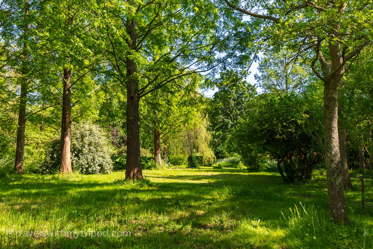 There's plenty of woodland to enjoy as you wander through the grounds at Leeds Castle